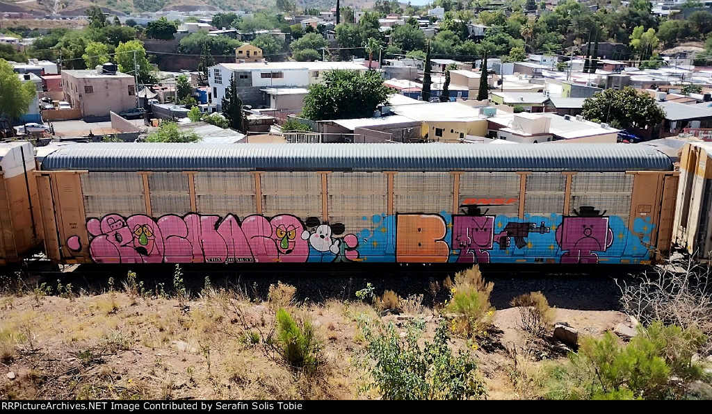 BNSF 6431 TTGX 965637